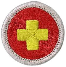 Merit Badge